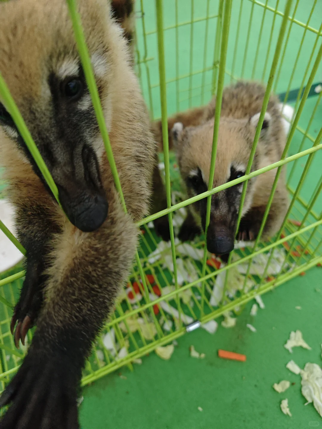 沈阳宠博展！