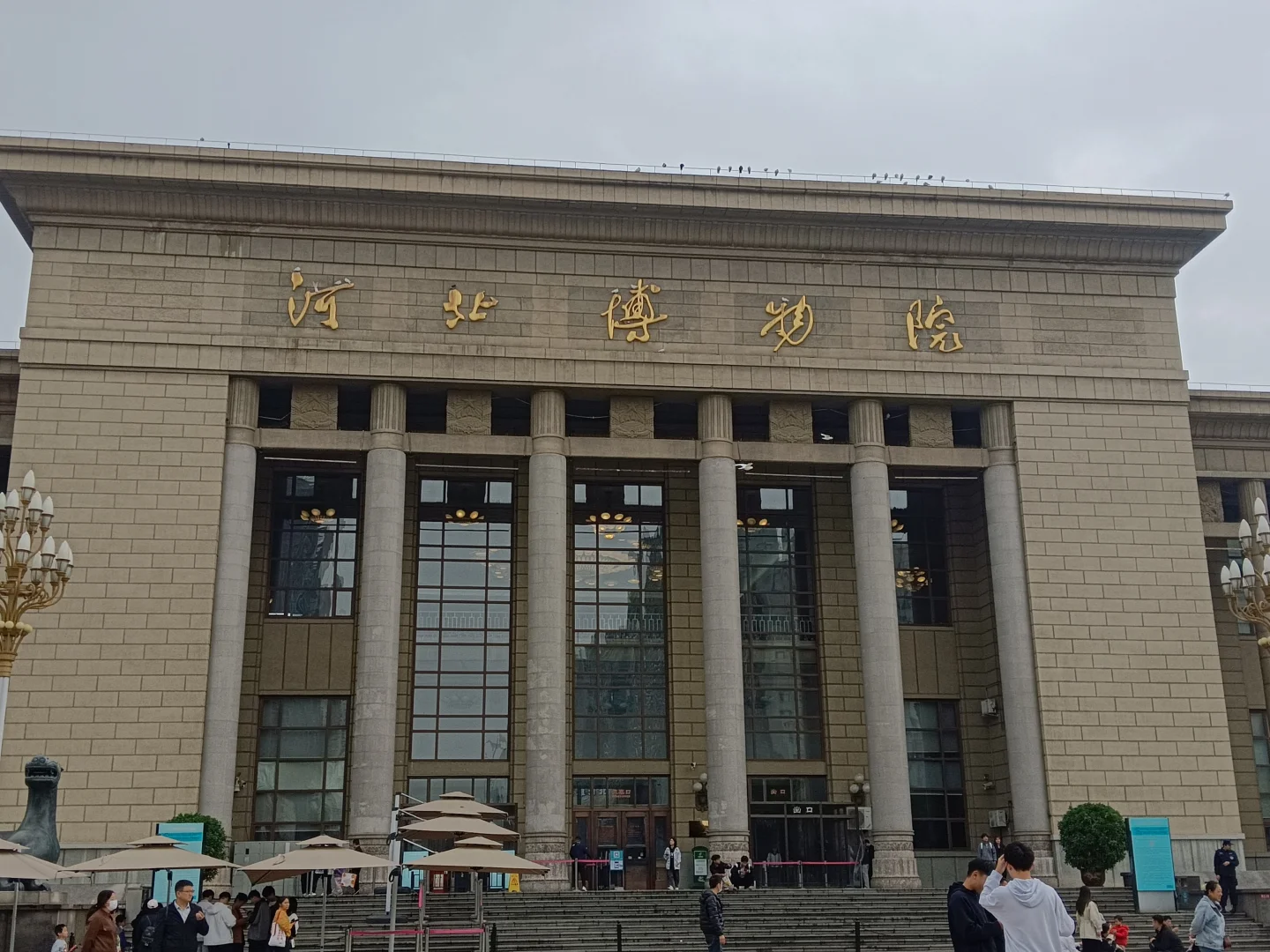 ?国家地理展石家庄&河北博物院