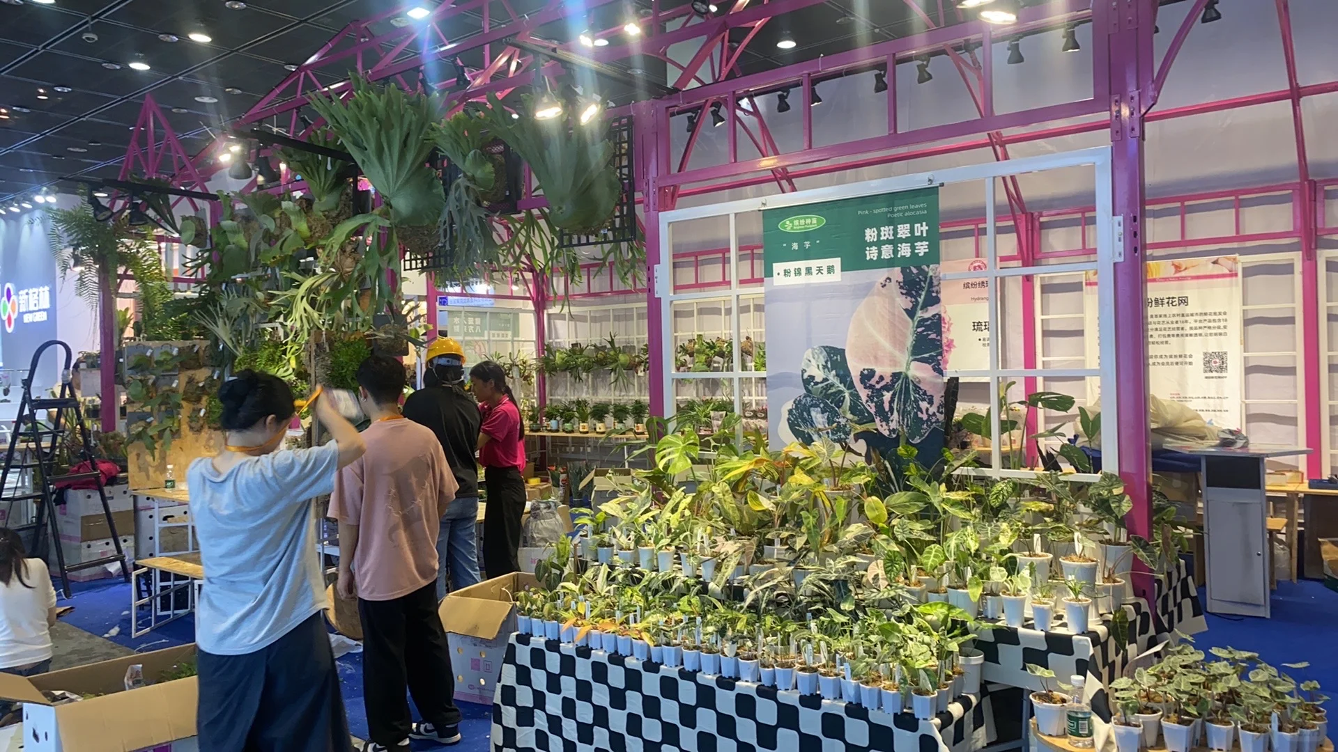 无锡热植展 一边拆箱一边买买买了