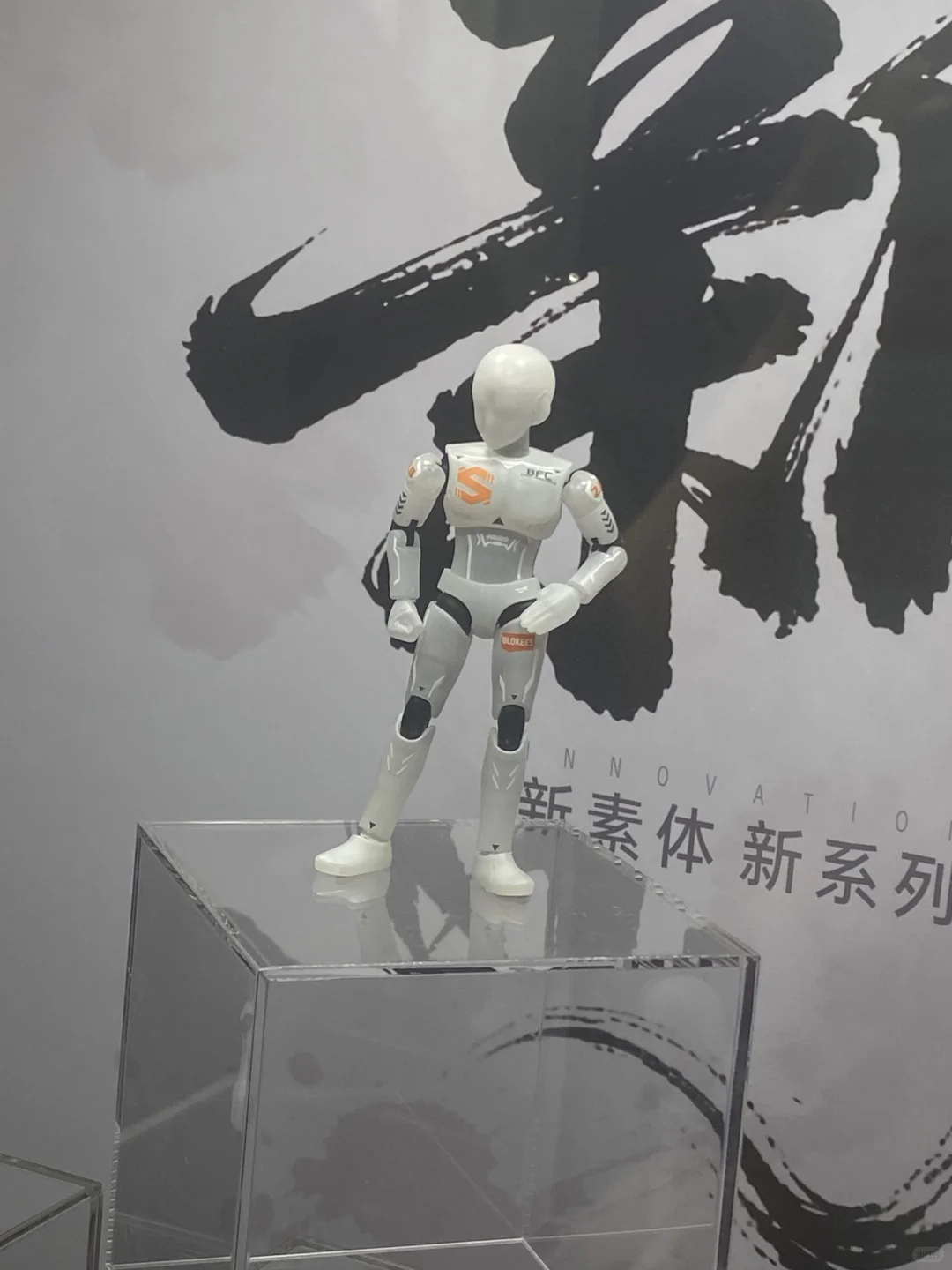 布鲁可野心大大滴 其他篇