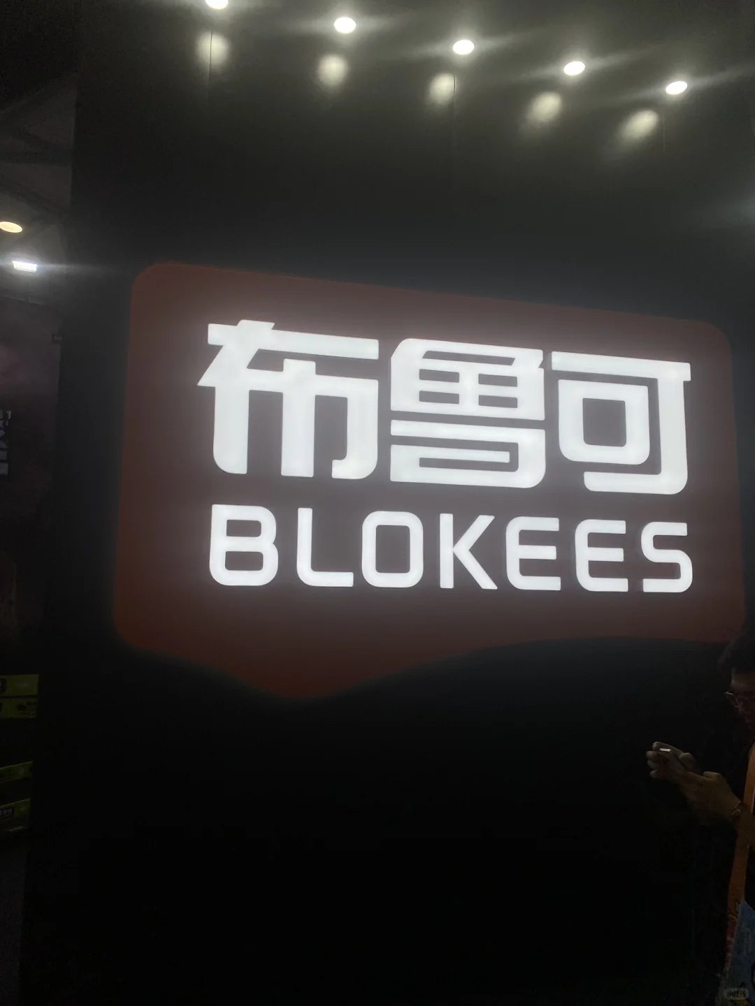 布鲁可野心大大滴 其他篇