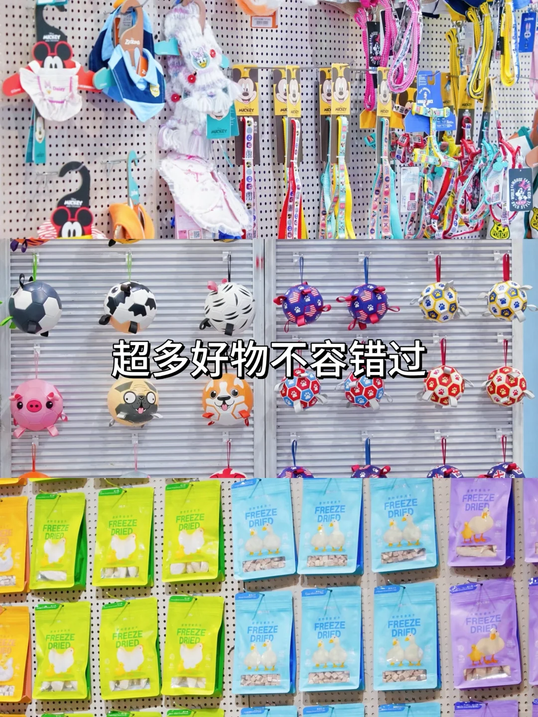? 第6届华东宠物展 • 铲屎官の狂欢圣地