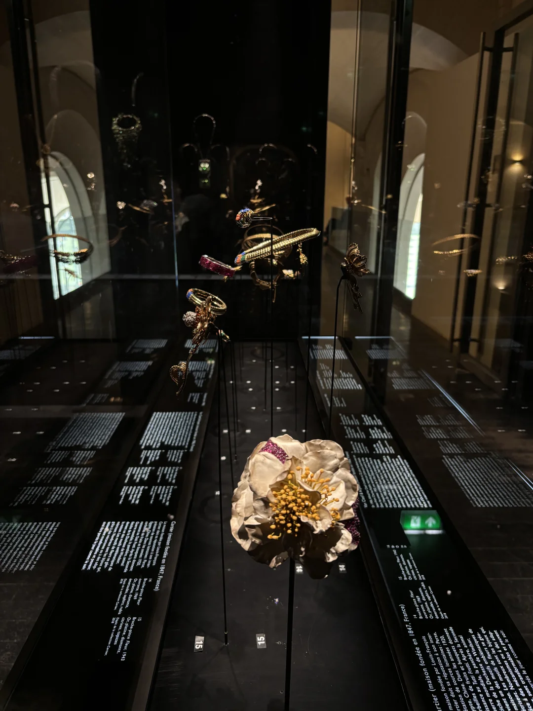 日常看展｜在巴黎沉浸式看珠宝?
