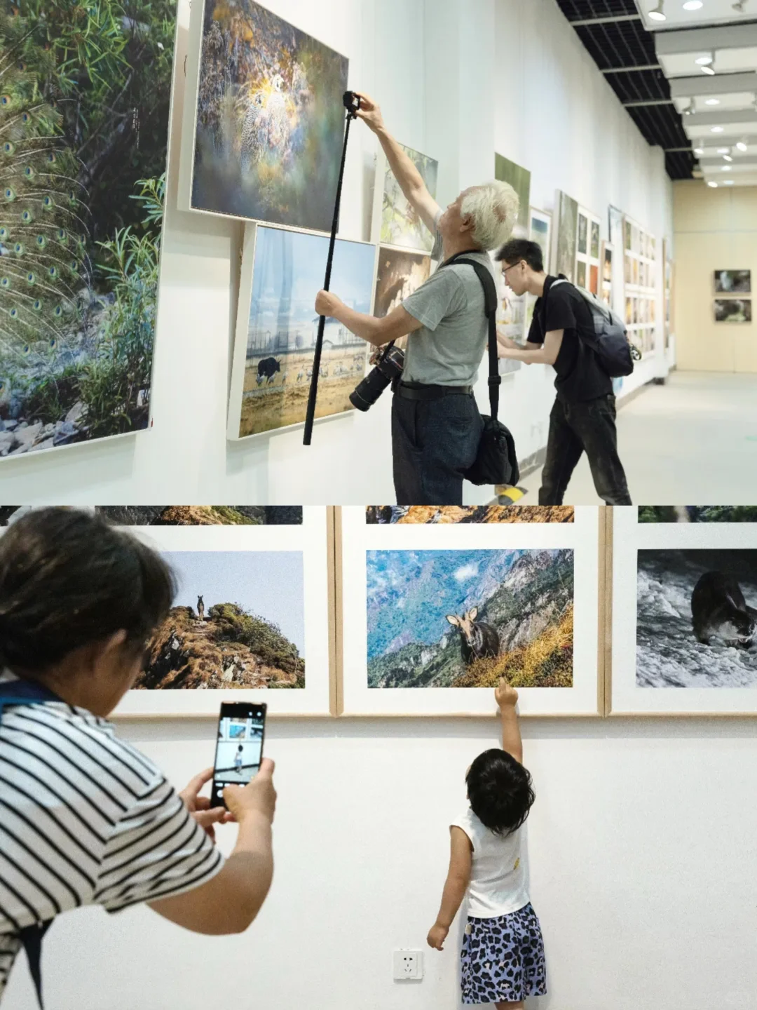 大受震撼?烟台最新展览合集，好好拍