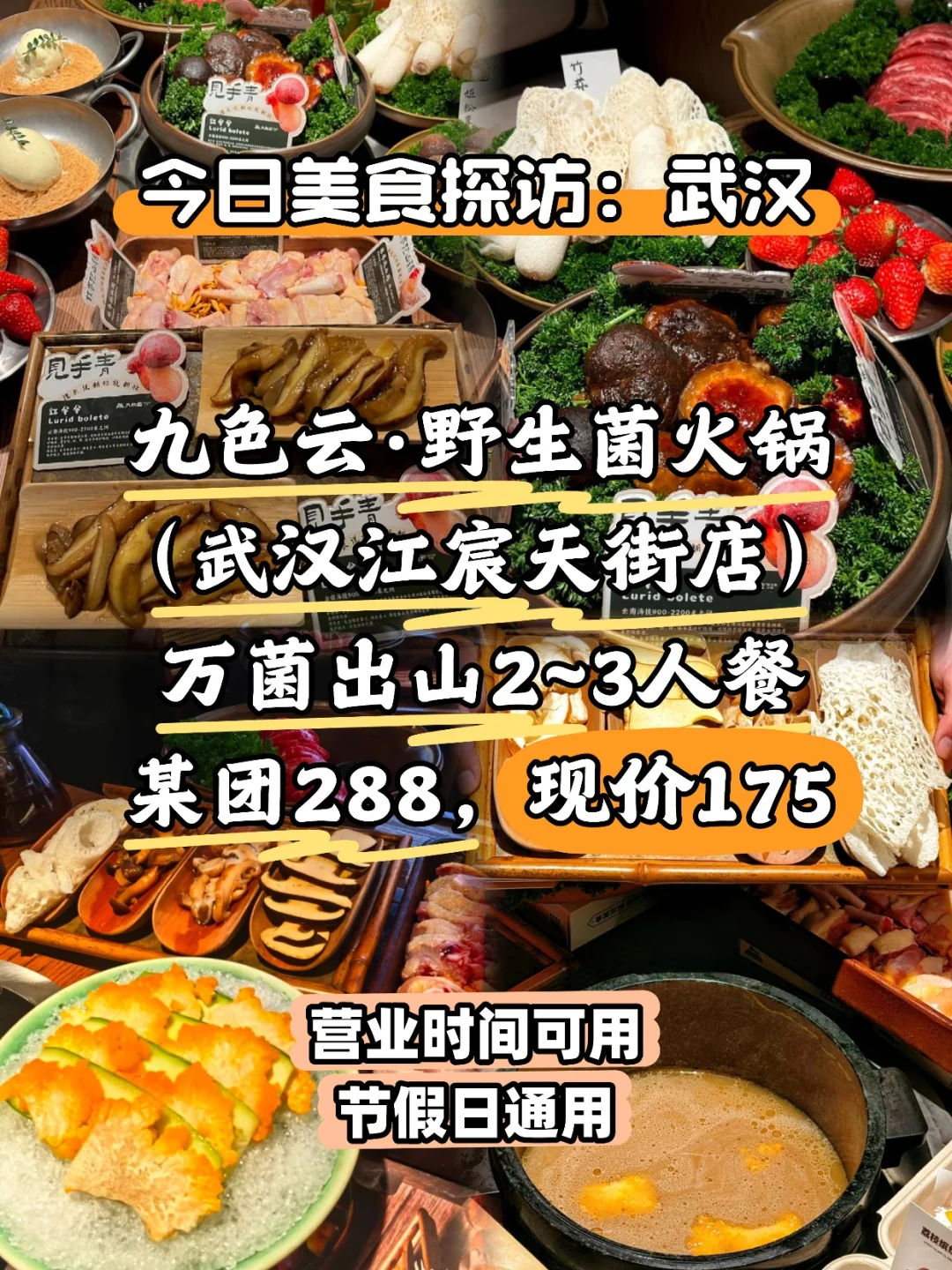 武汉美食｜九色人均50+的云南野生菌火锅！