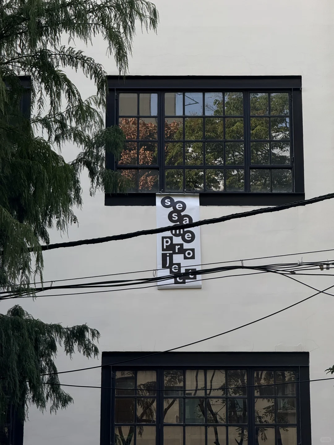 上海新展｜Plot&Sprout