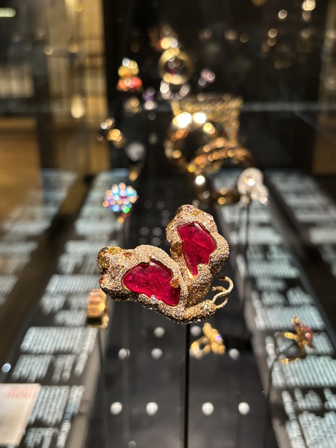 日常看展｜在巴黎沉浸式看珠宝?