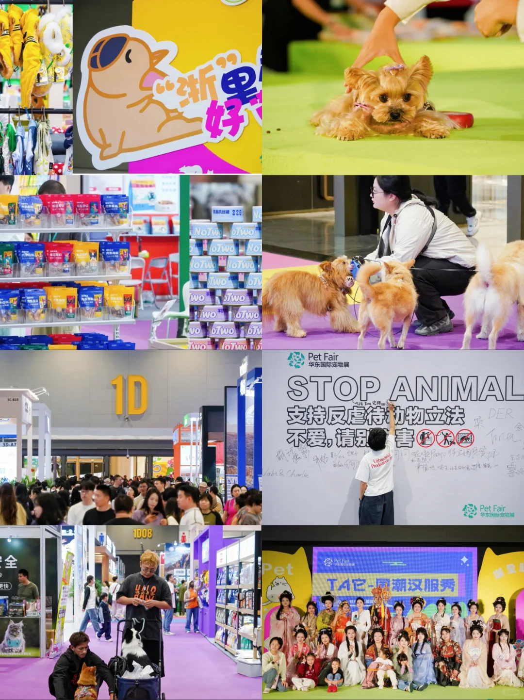 华东国际宠物展又来啦?附展会攻略@上海
