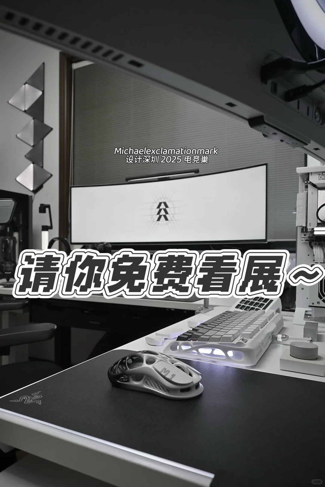 我来请我的粉丝们免费看展啦 ！！！