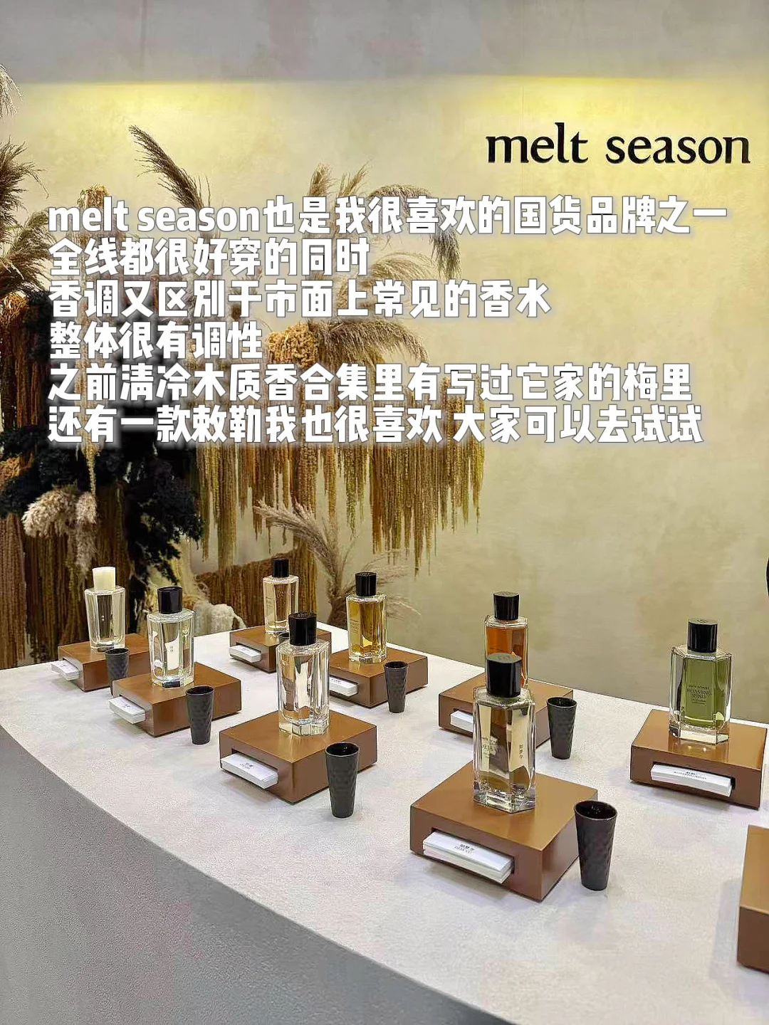 气味上海逛展攻略｜逛了2天整理出来的