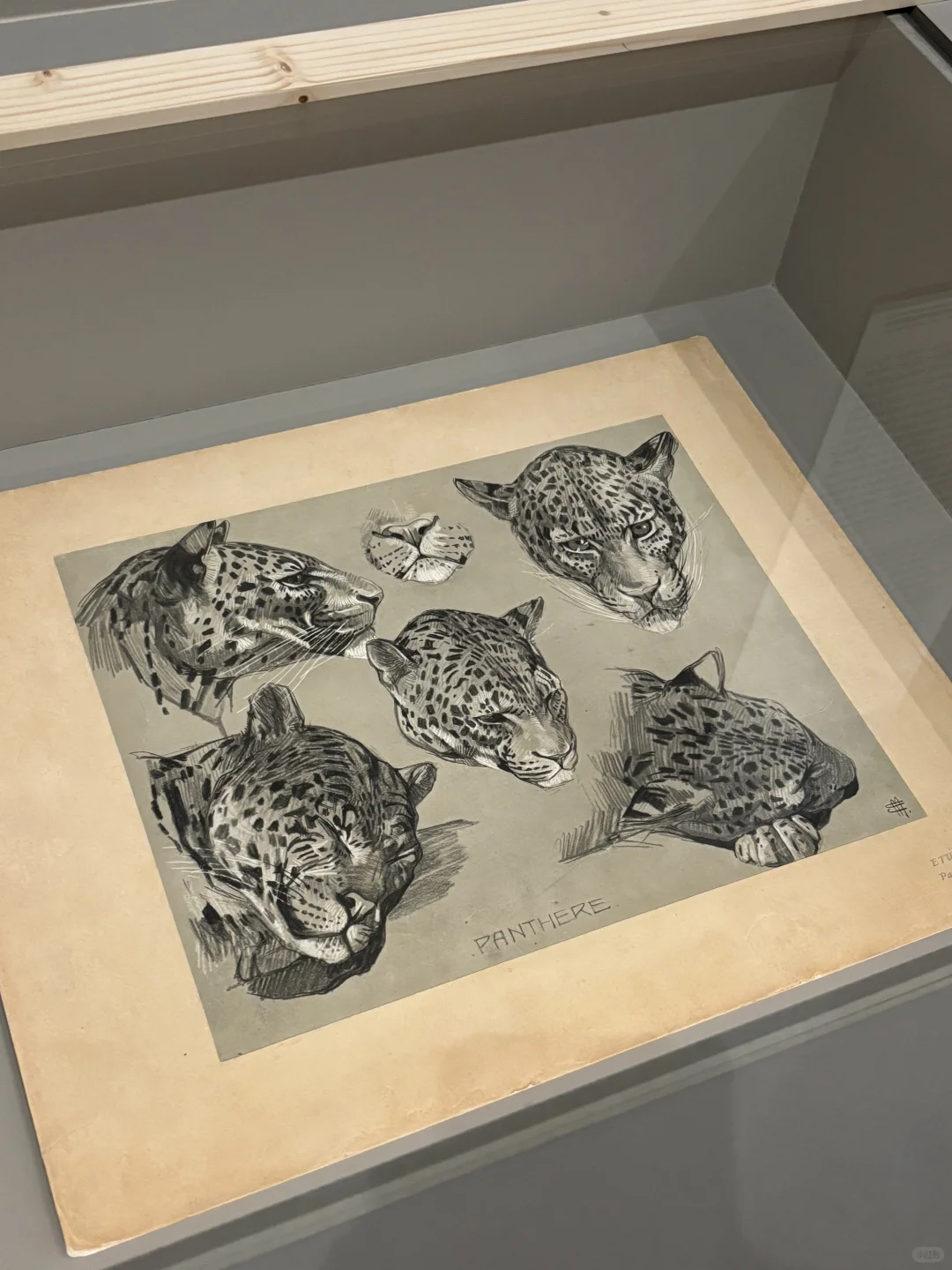 日常看展｜在巴黎沉浸式看珠宝?