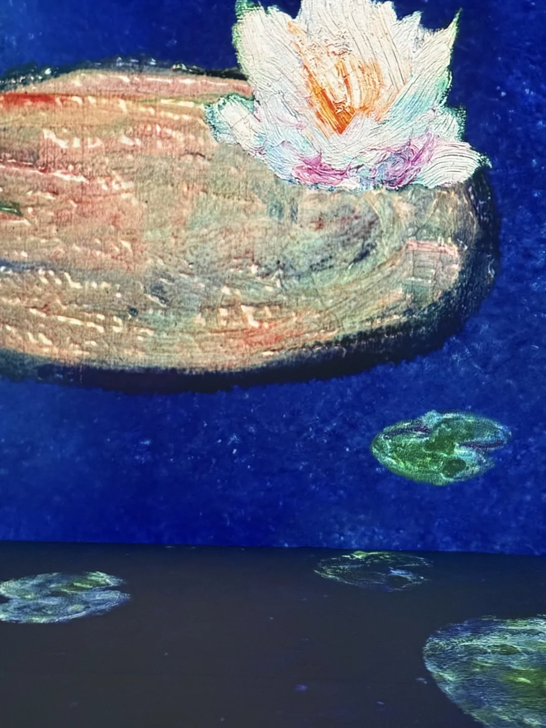 北京新展｜ ?️印象·莫奈 沉浸式光影展