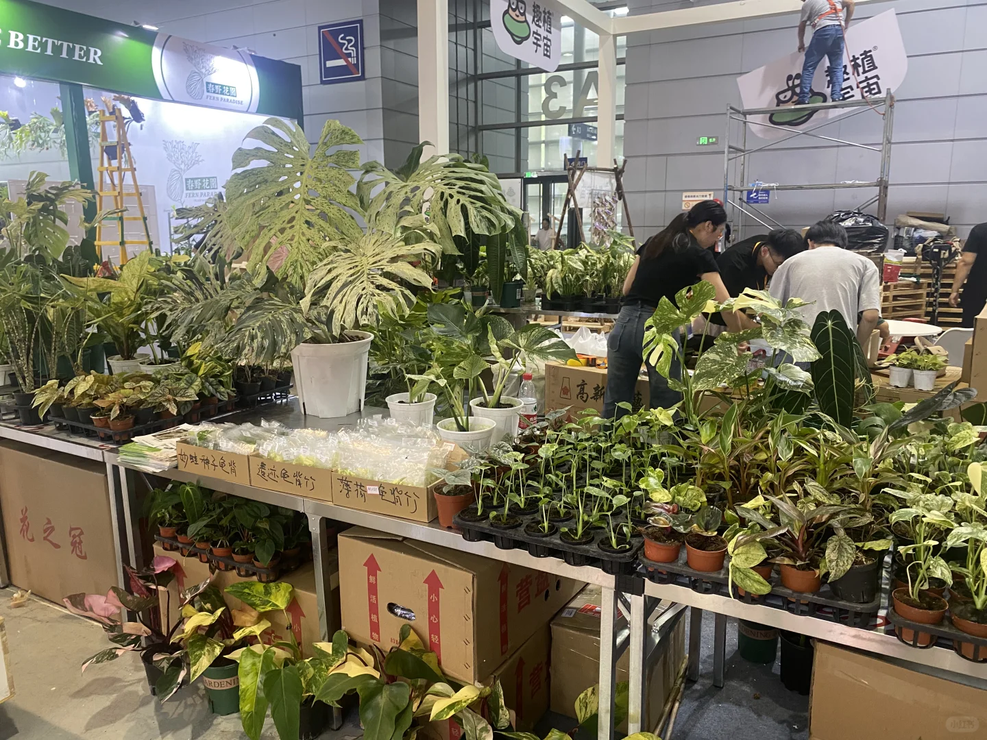 无锡热植展 一边拆箱一边买买买了