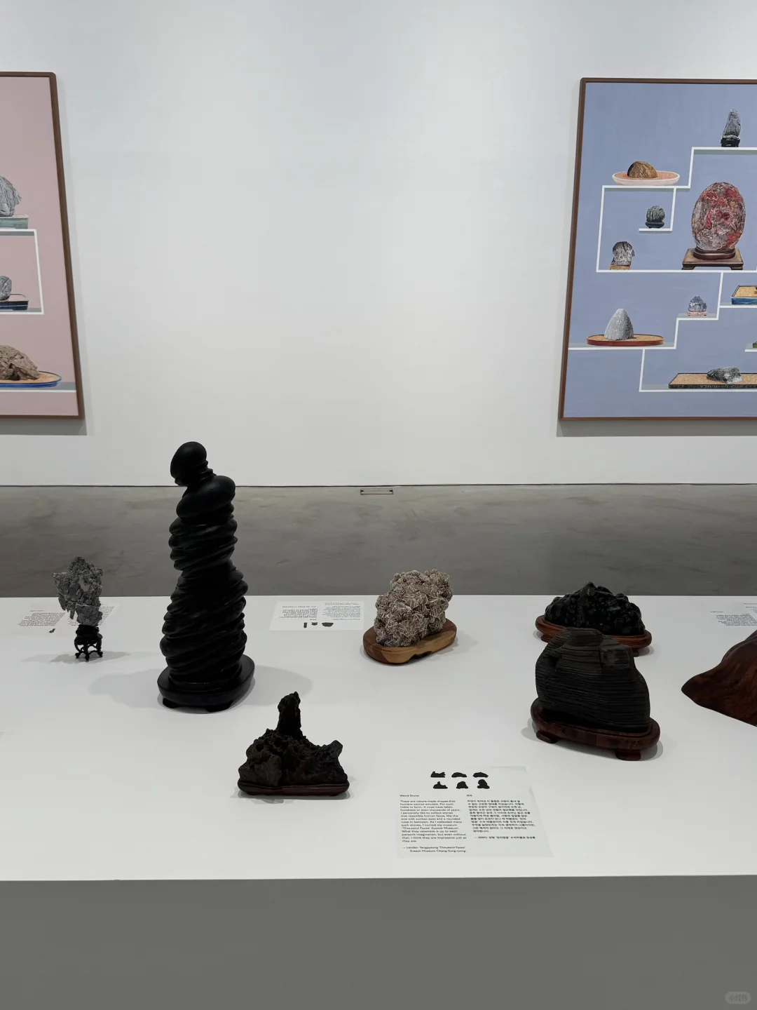 首尔看展|艺术周不逛这个画廊就亏大了!