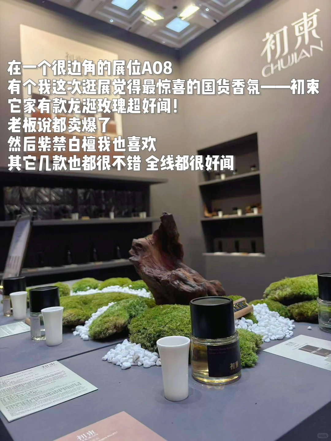 气味上海逛展攻略｜逛了2天整理出来的