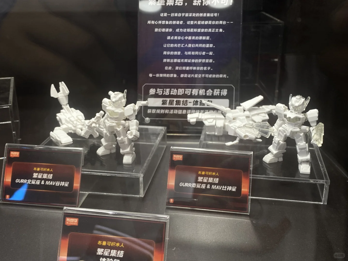 布鲁可野心大大滴 其他篇