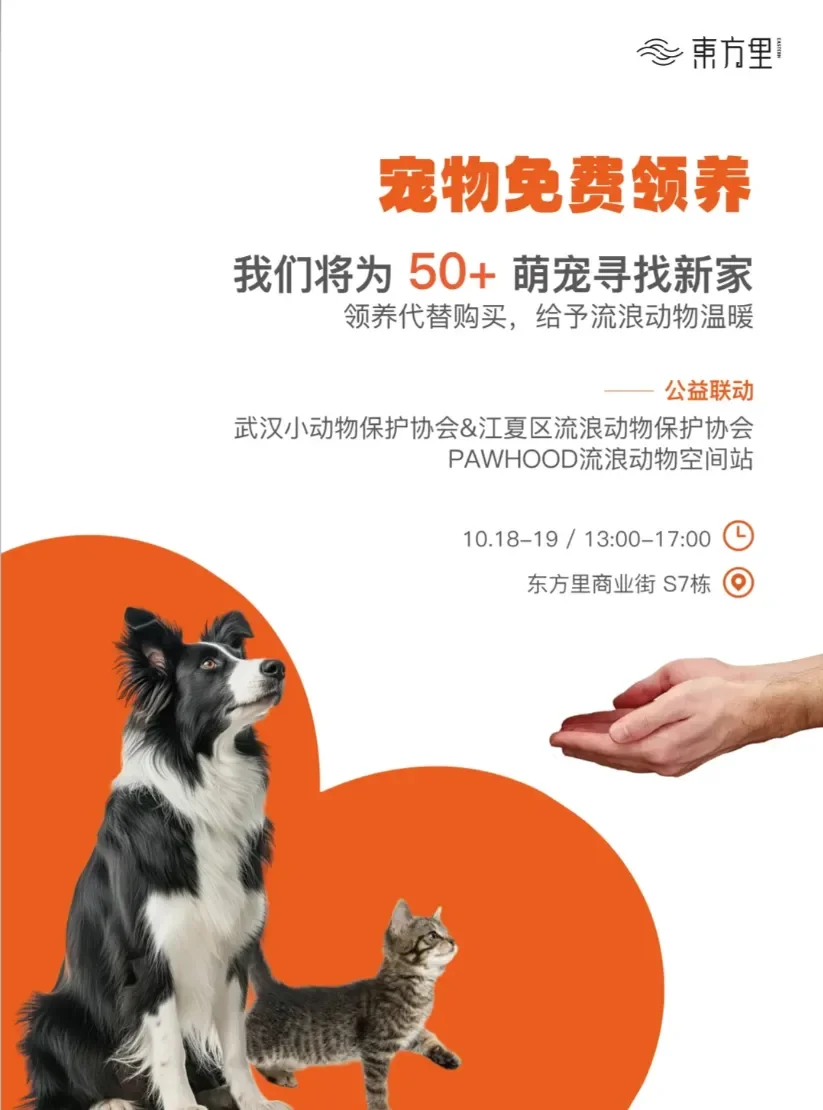 武汉免费活动合集｜10.13-10.19