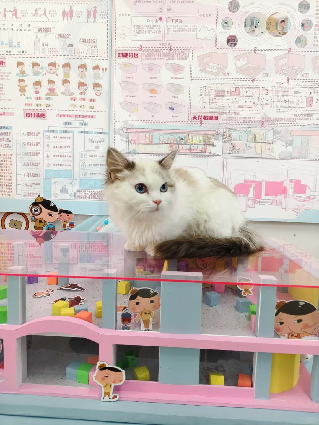 环设｜毕业设计展终于搞完了！