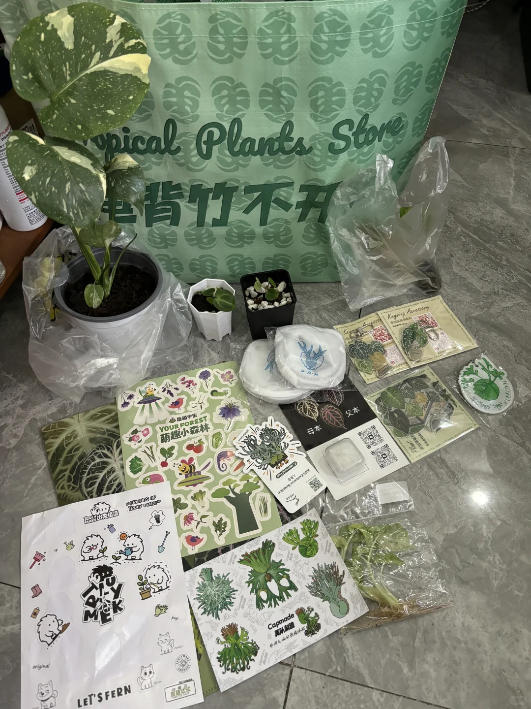无锡热植展3天收获满满