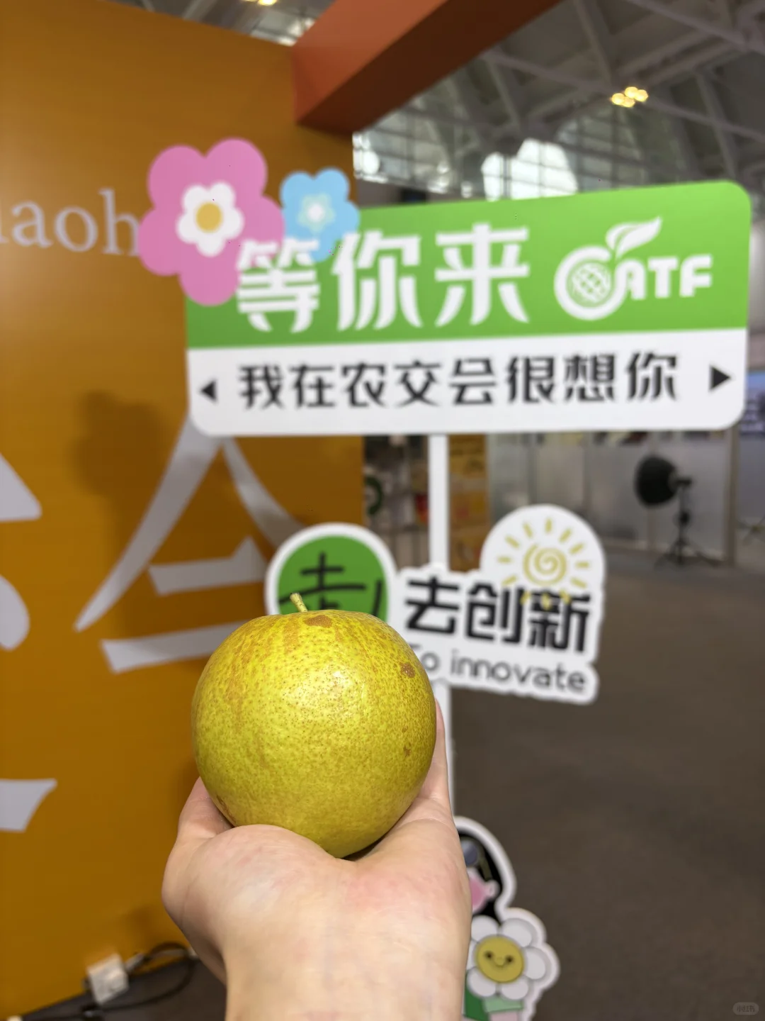 第二十二届农交会必冲！隰县玉露香梨太绝了