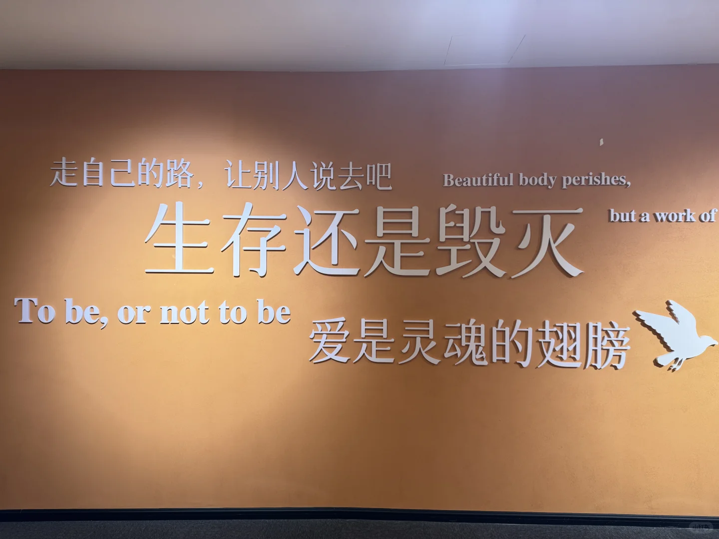 深圳新展 佛兰德斯的艺术荣光✅