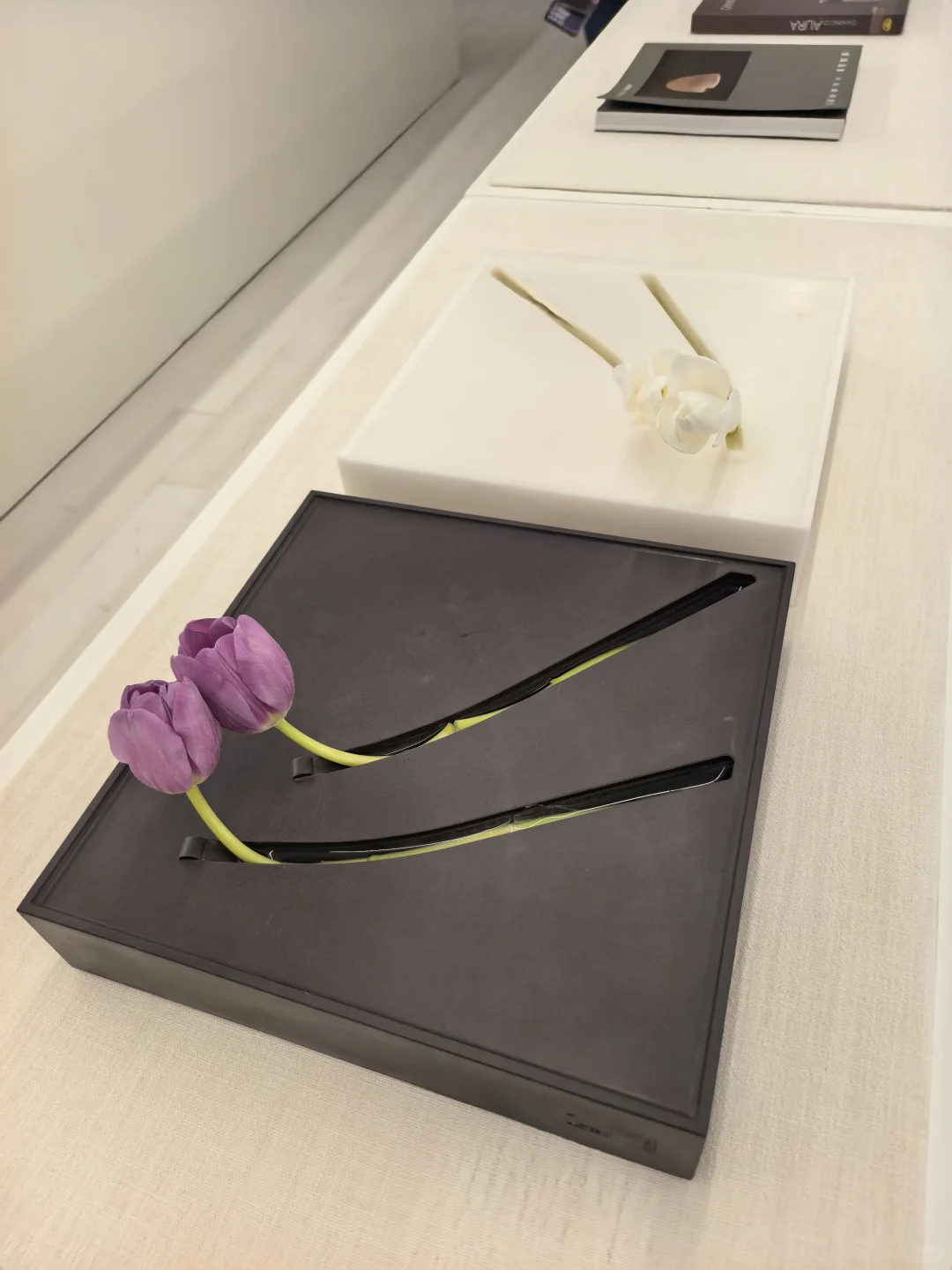 逛展-2025摩登上海设计周 设计&可能