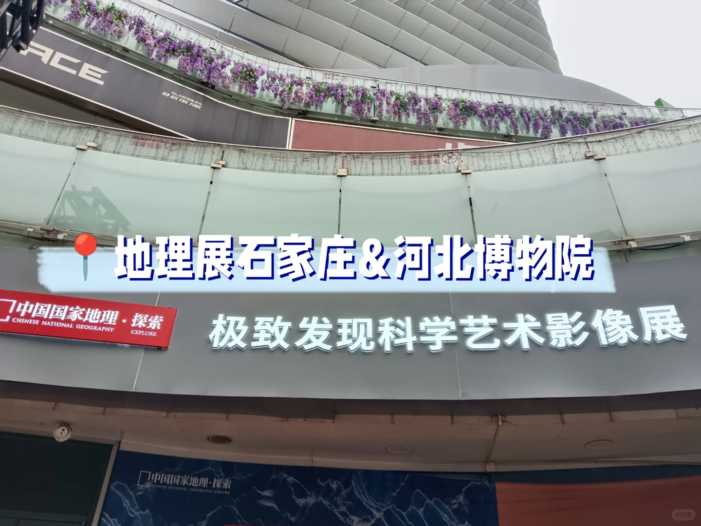 ?国家地理展石家庄&河北博物院