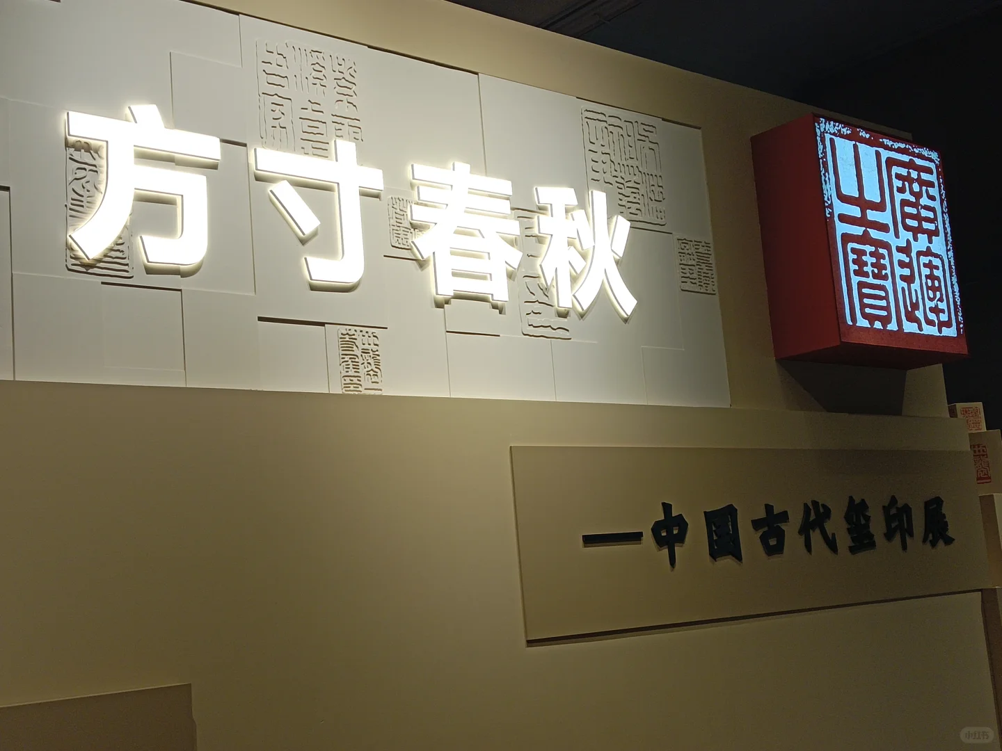 ?国家地理展石家庄&河北博物院