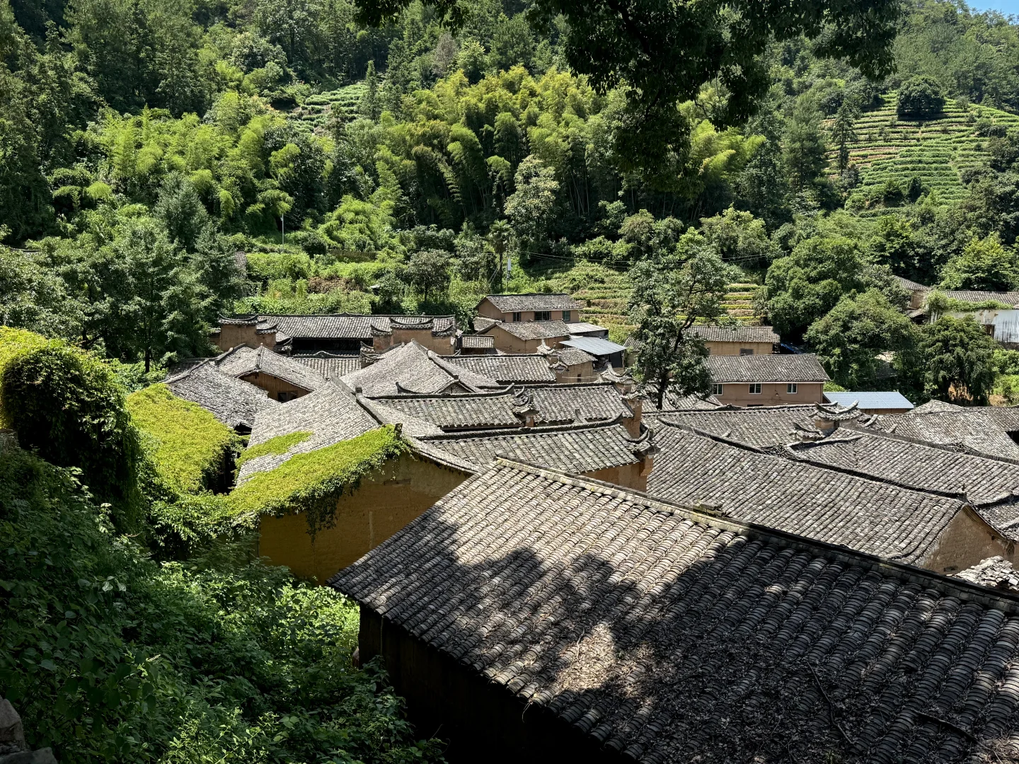 浙江省大学生乡村振兴创意大赛—成果篇
