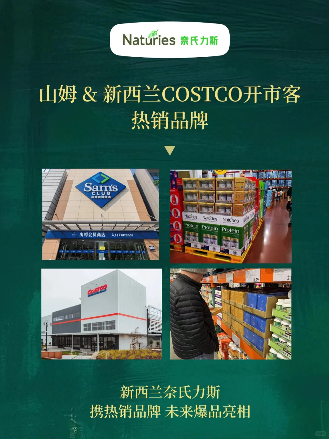 奈氏力斯邀你参加2025进博会!报名攻略?