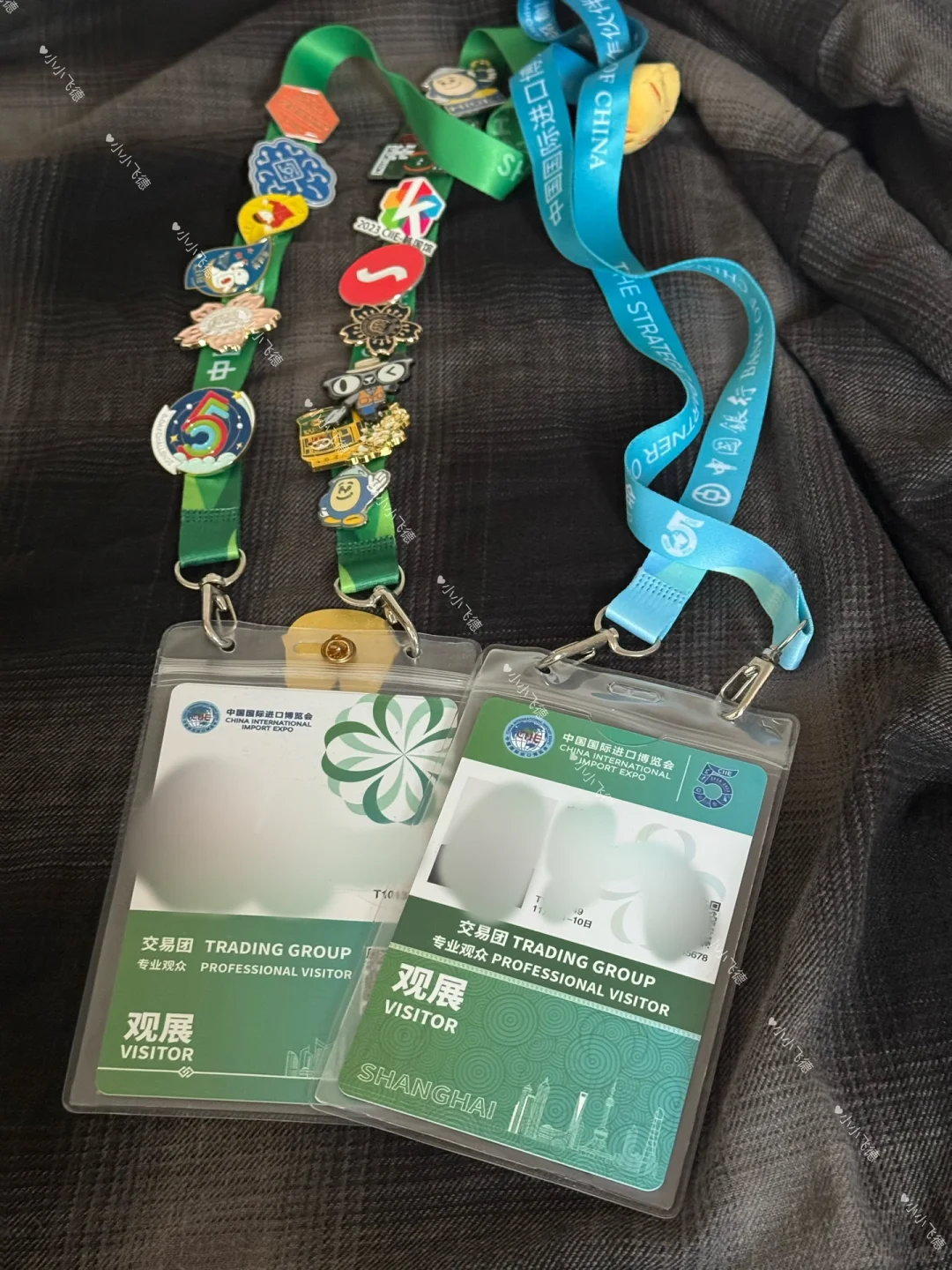 进博上海会门票到手，专业观众