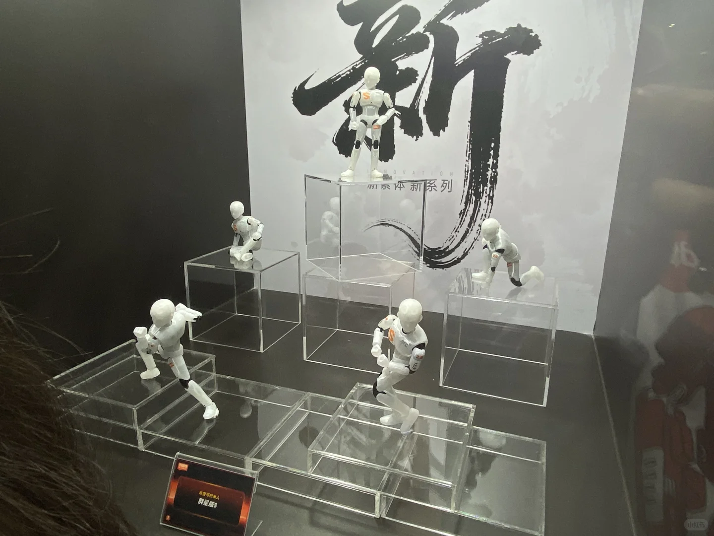 布鲁可野心大大滴 其他篇