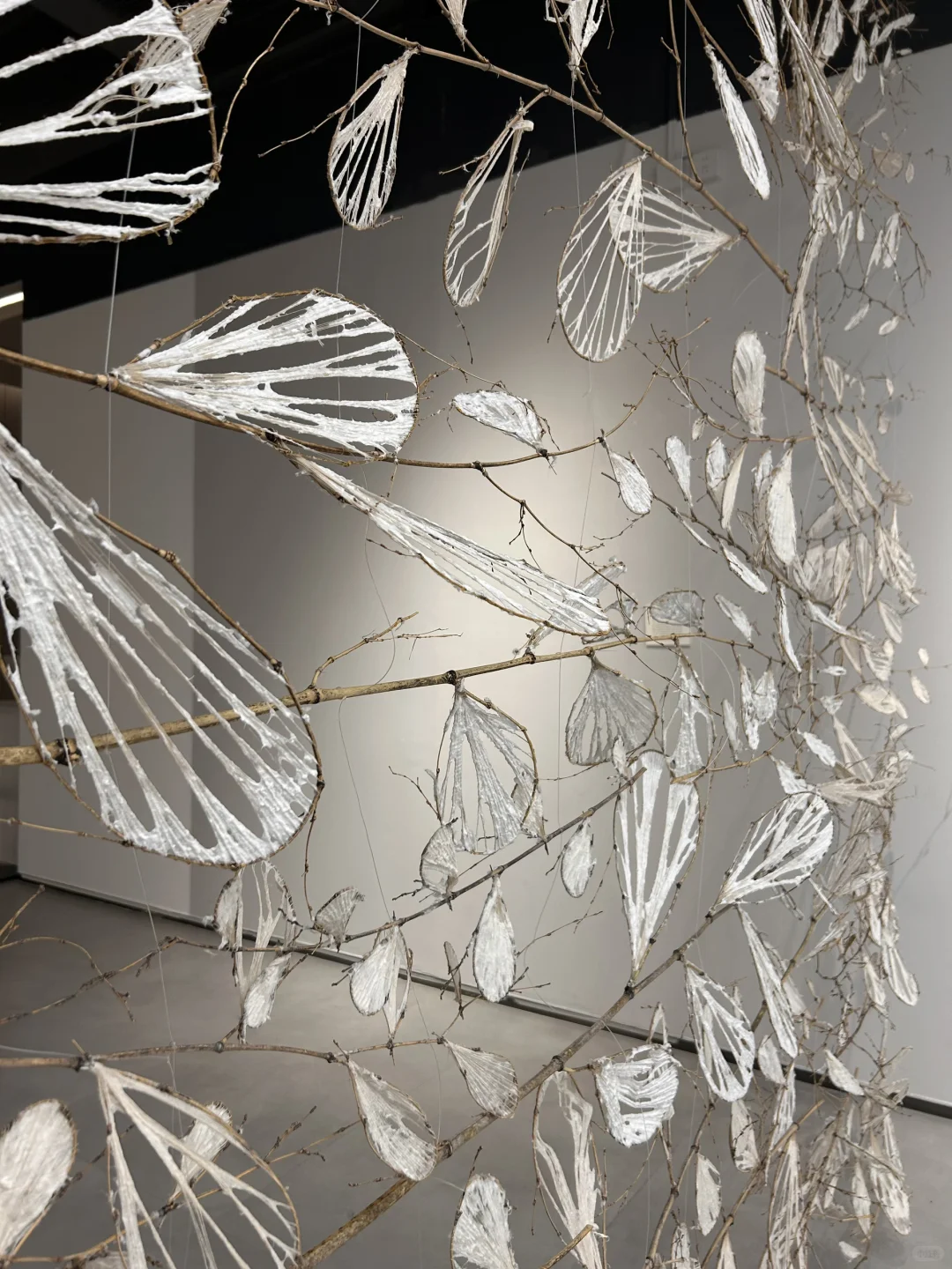 10月“paper maze”西安国际纸艺展