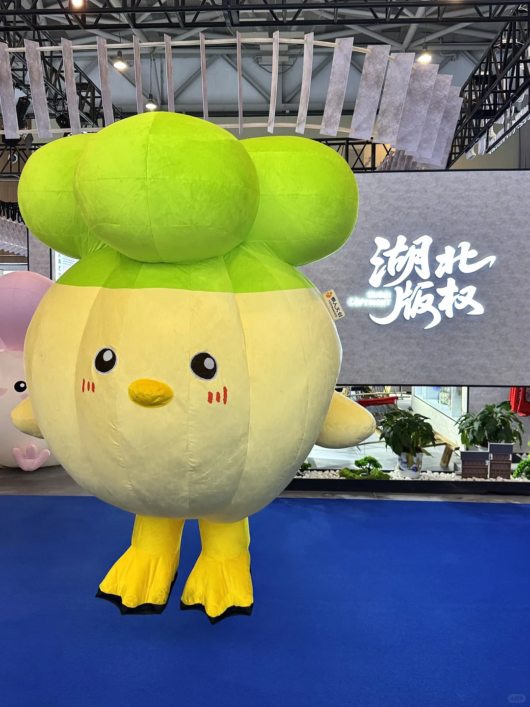青岛中国国际版权博览会!又是长见识的一天…