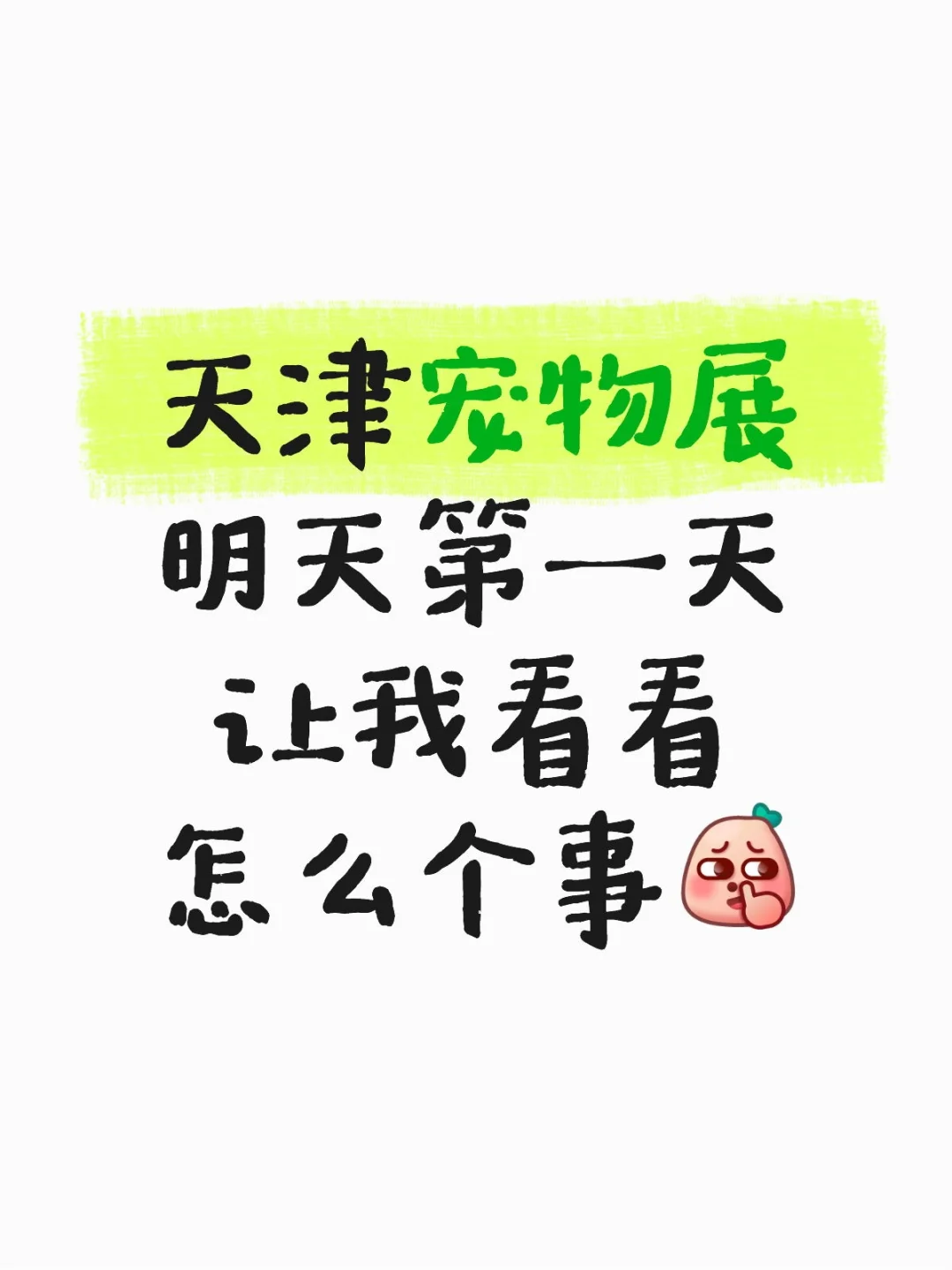 后续来了~