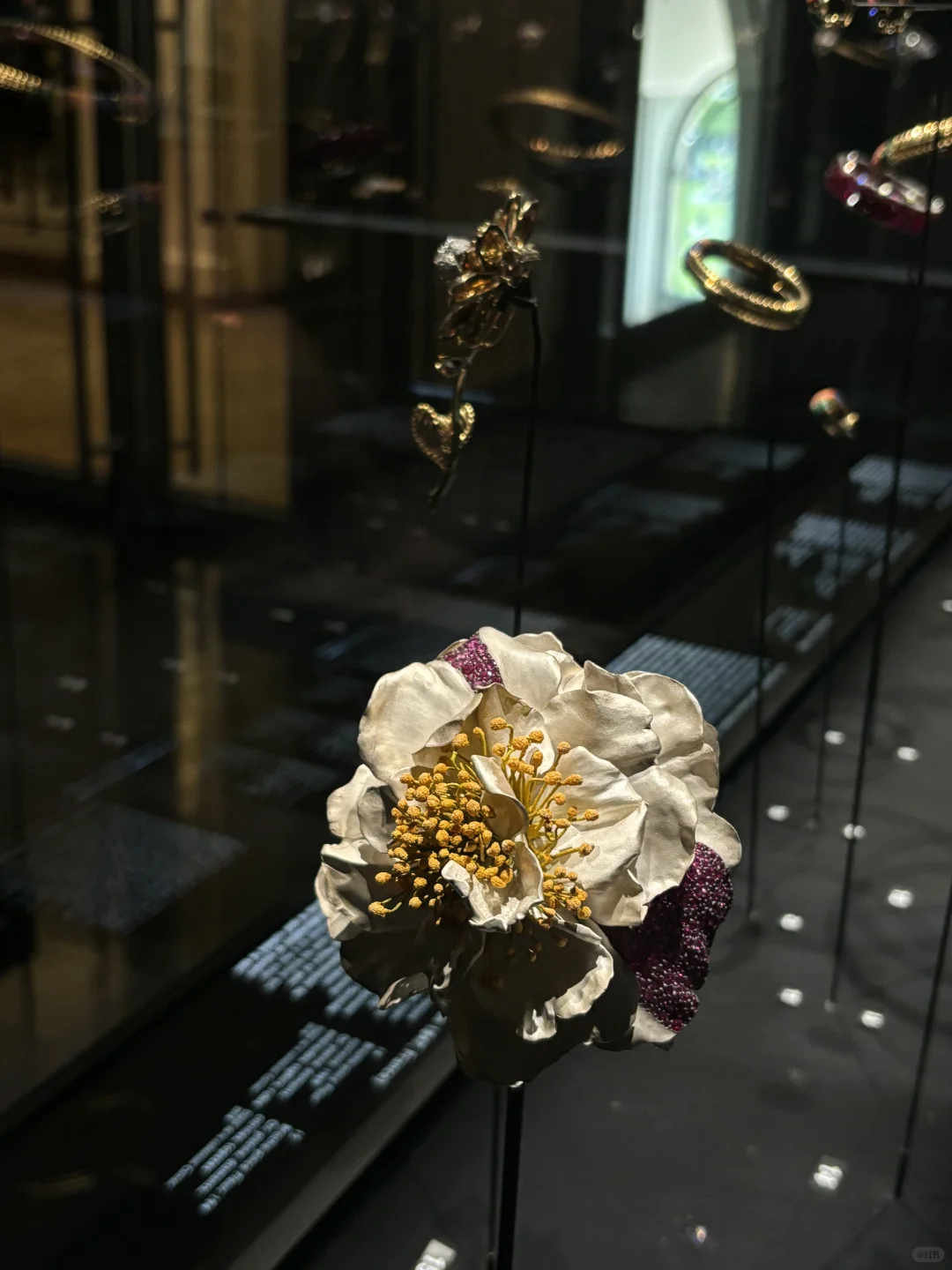 日常看展｜在巴黎沉浸式看珠宝?