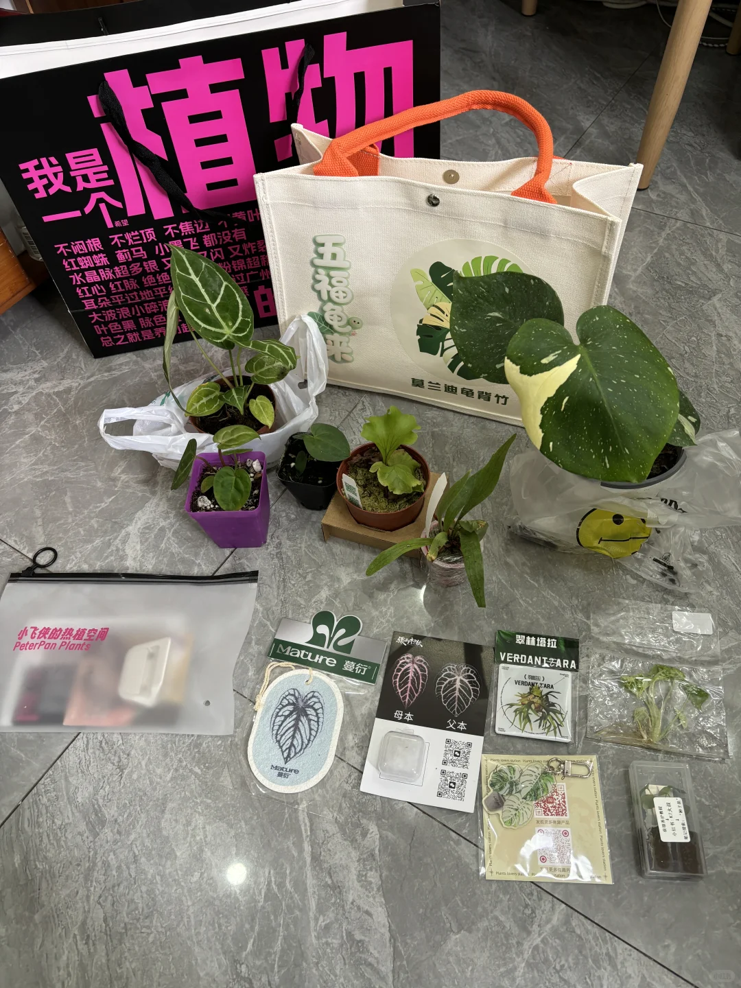 无锡热植展3天收获满满