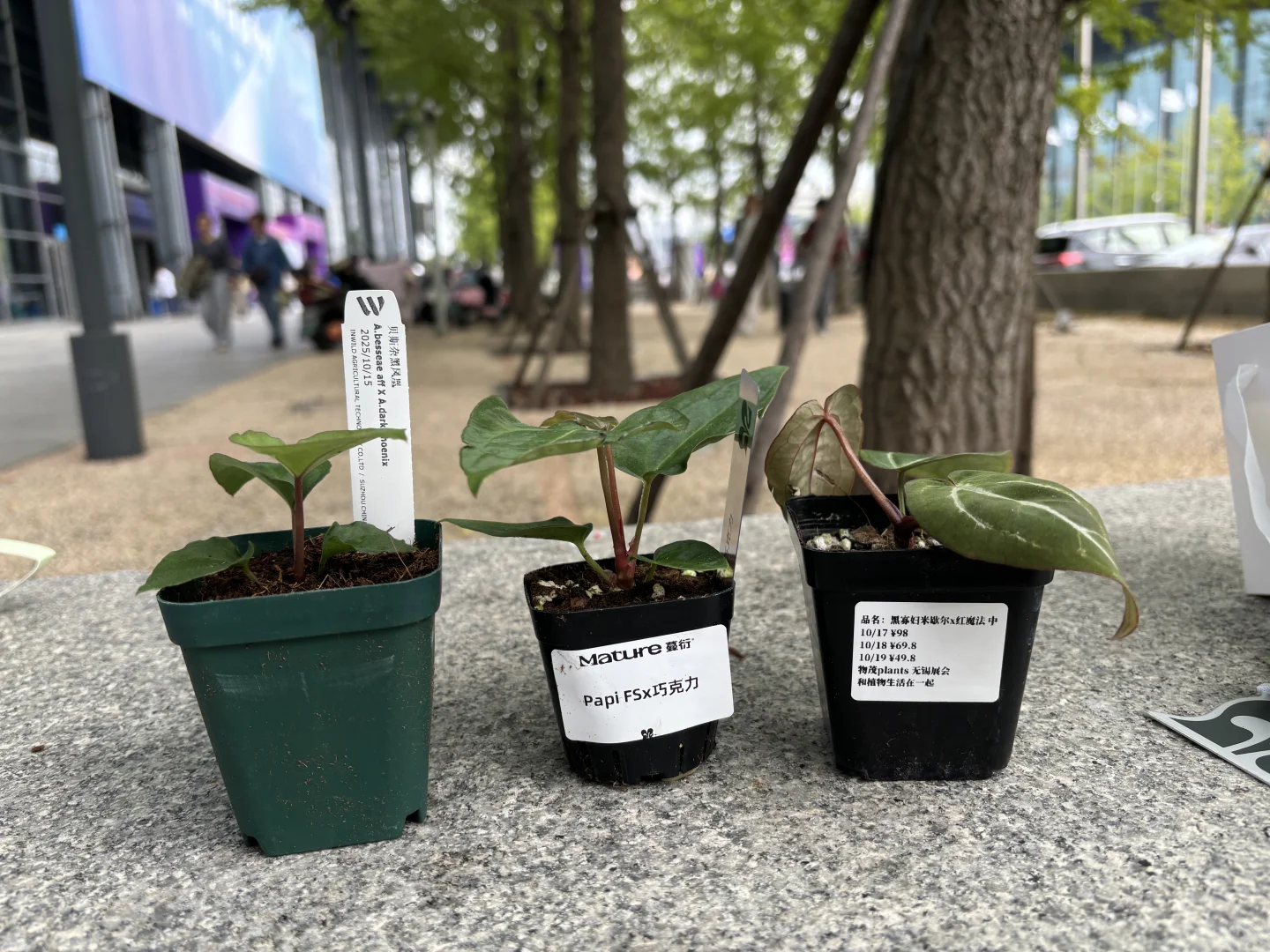 无锡热植展3天收获满满