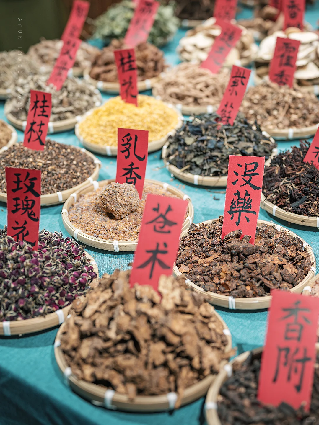 厦门看展｜凡所有相 皆是虚妄?