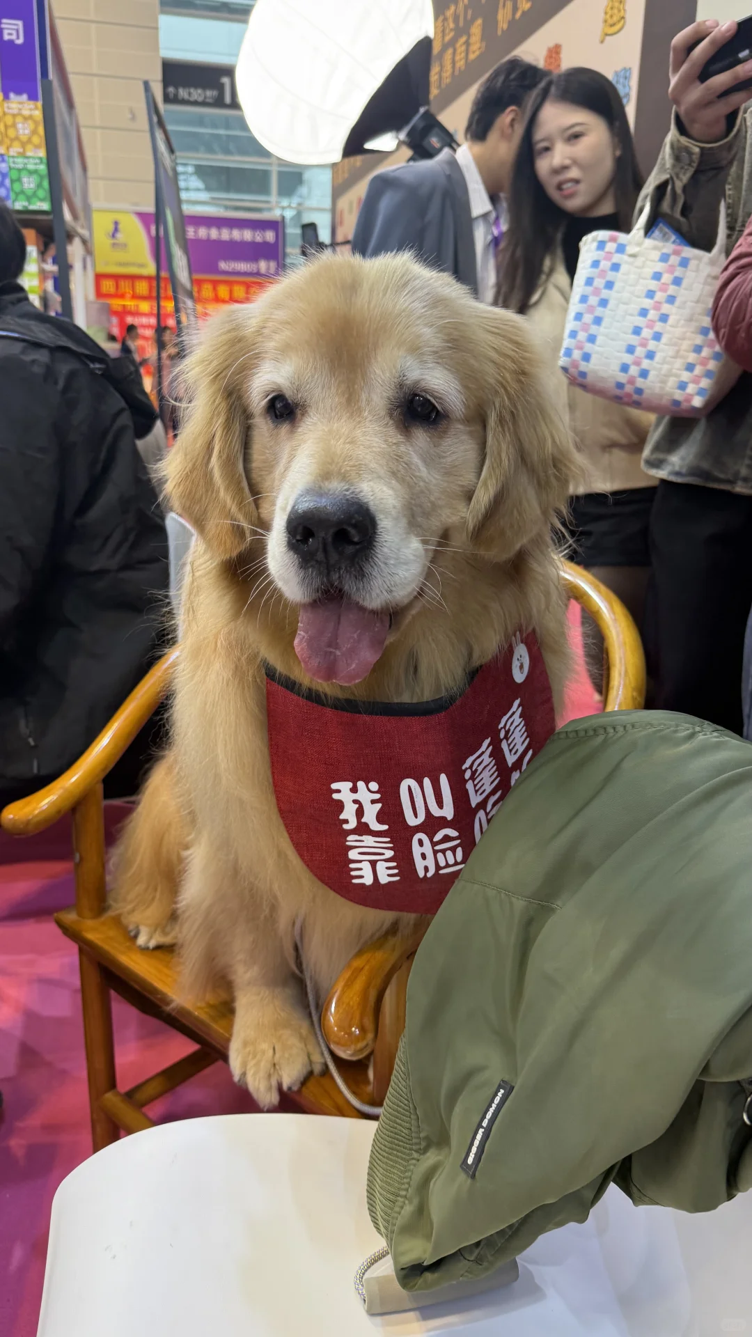 后续来了~