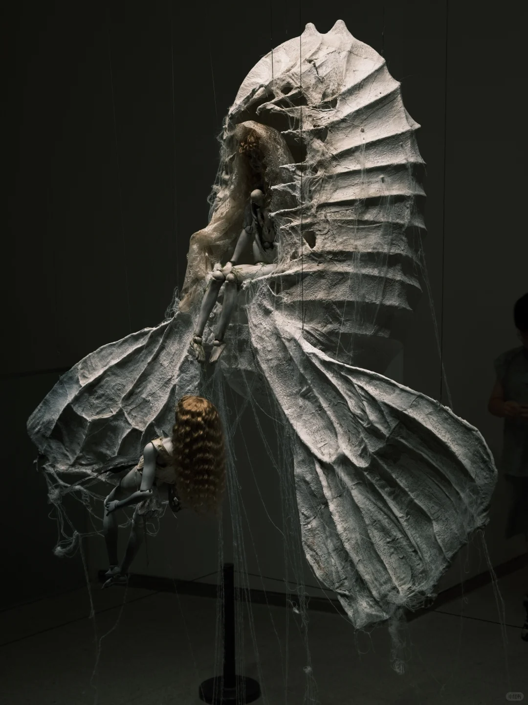 反季节贴文 2025年中央美术学院毕业展?