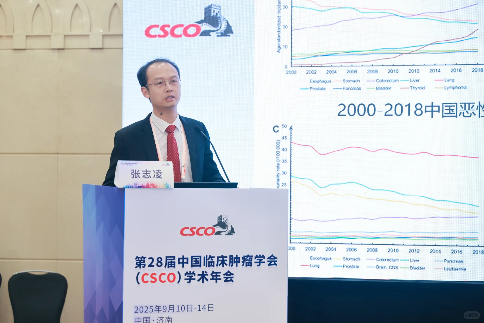 2025 CSCO ——规范诊疗,创新引领