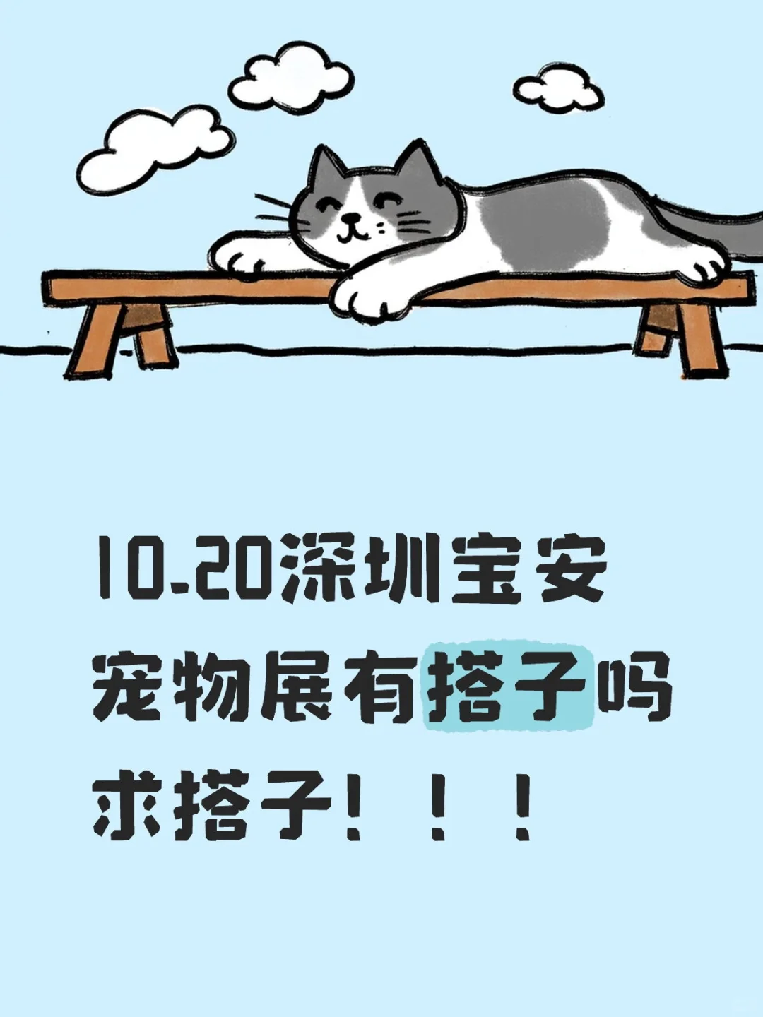 宠物展求搭子