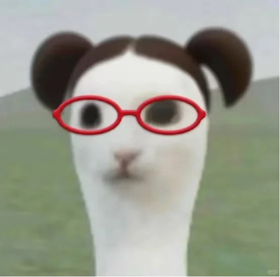 山东gwy干了半年,跟大家说点实在经验