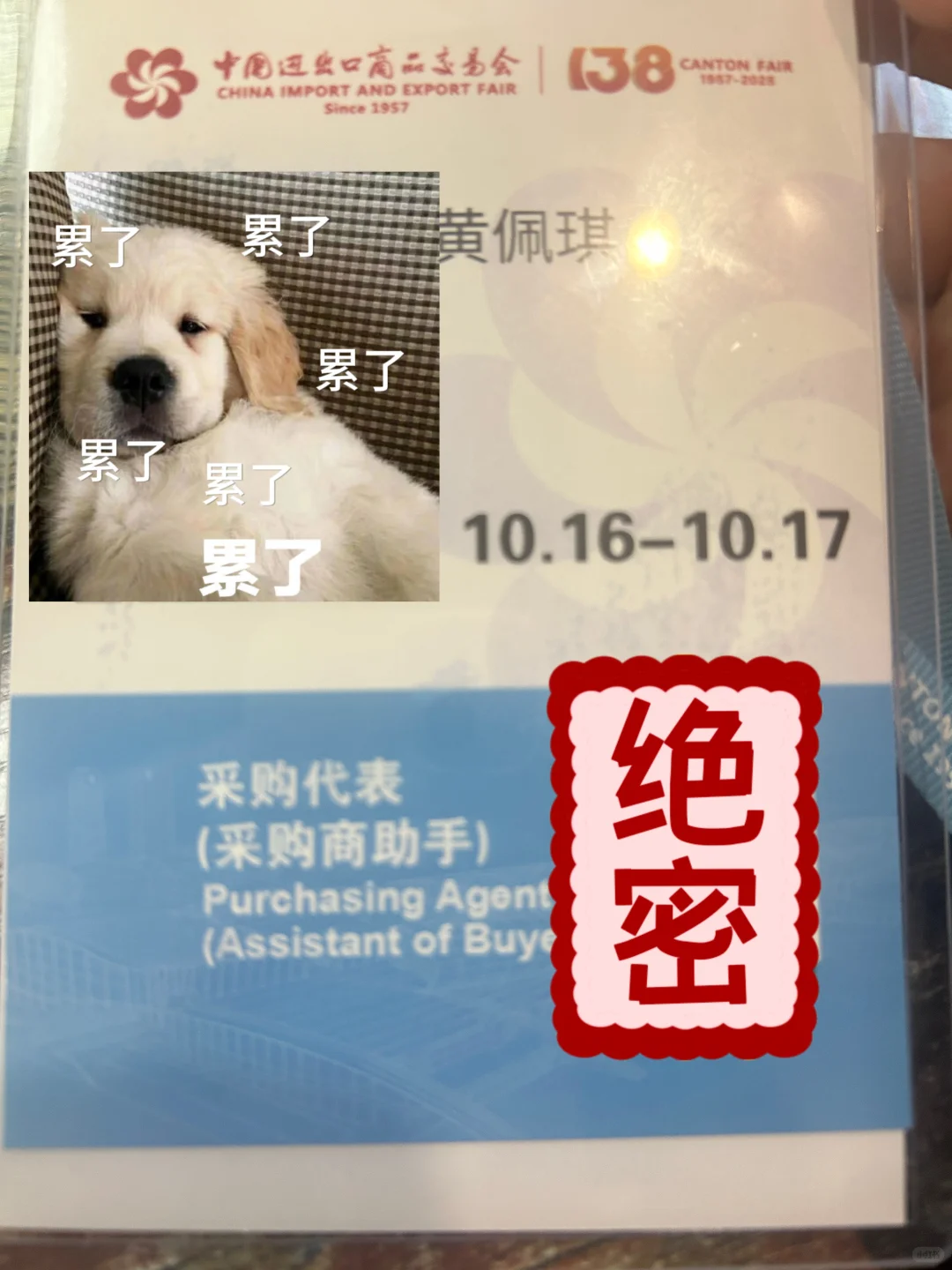 广交会小白升级?