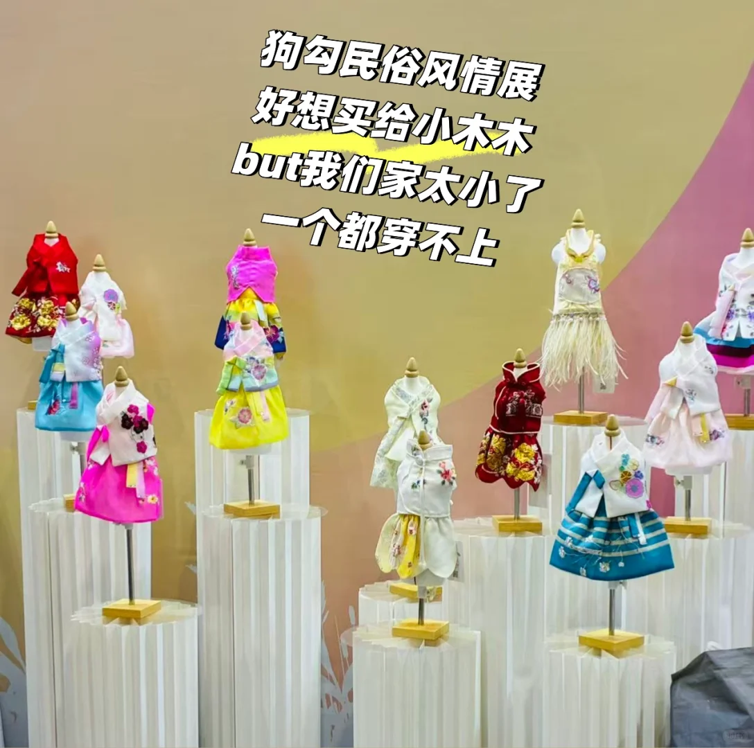 十年前逛漫展，十年后逛宠物展