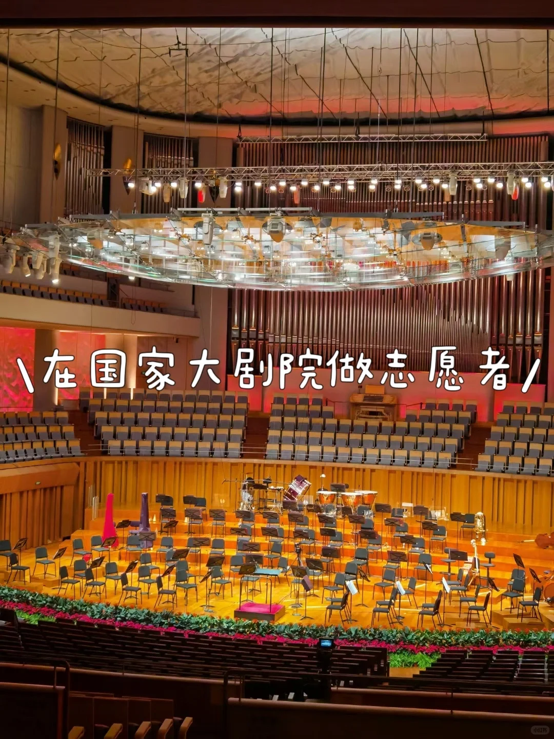 如何报名冬奥、一带一路、支教志愿者(二)