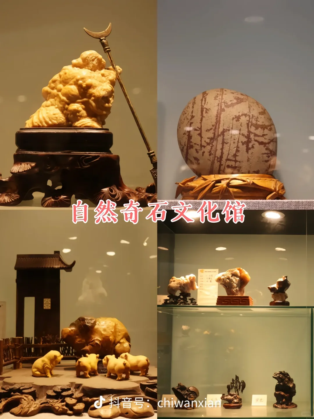 西安亲子趣玩【赏秋】西安世博园