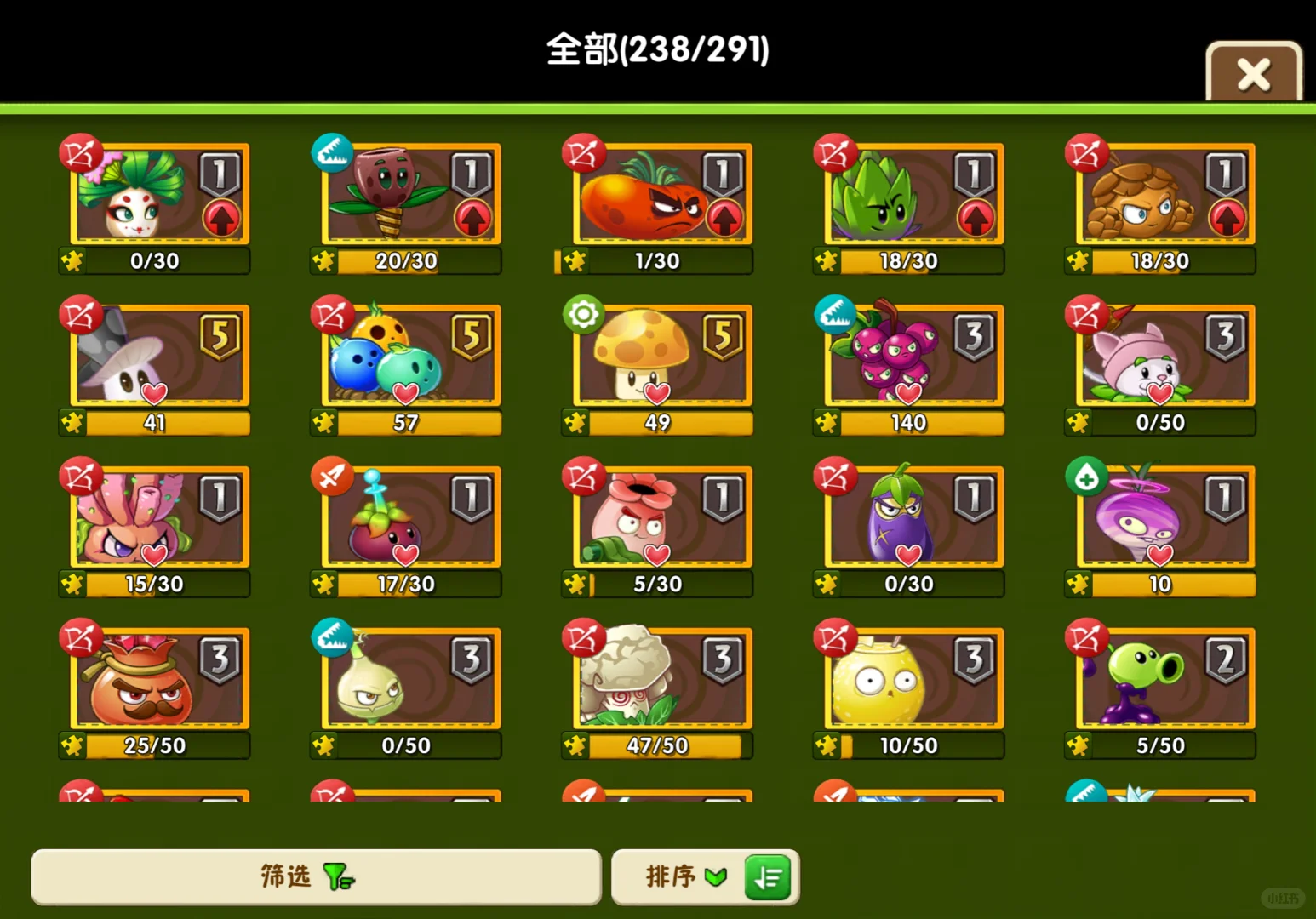 双十一团购买什么！