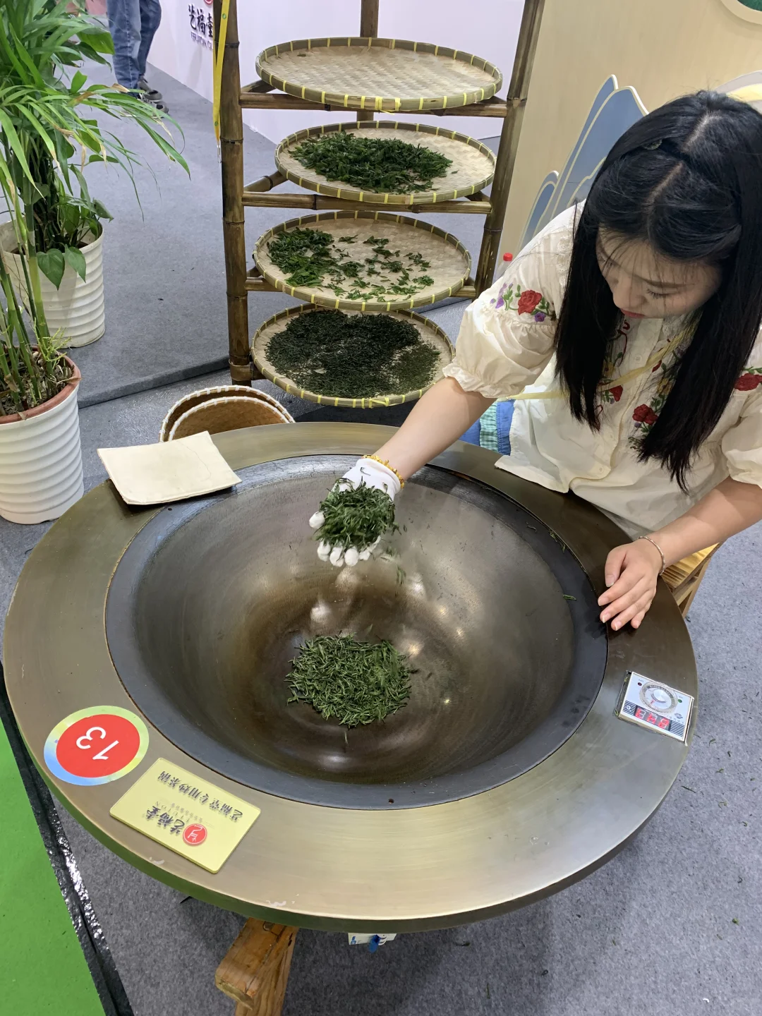 茶博会五日?